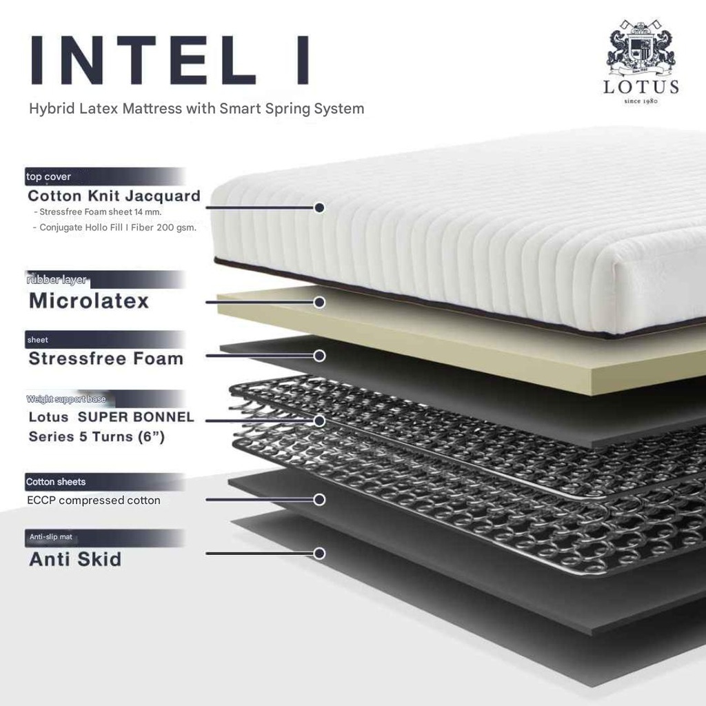 Lotus - Intel I - 5ft x 6.5ft - 8"