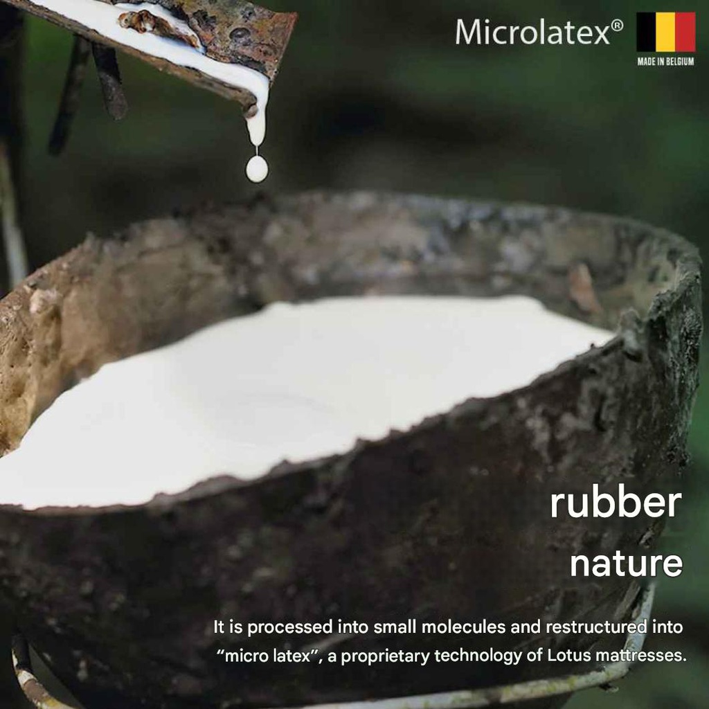 Lotus - Intel I - 5ft x 6.5ft - 8"