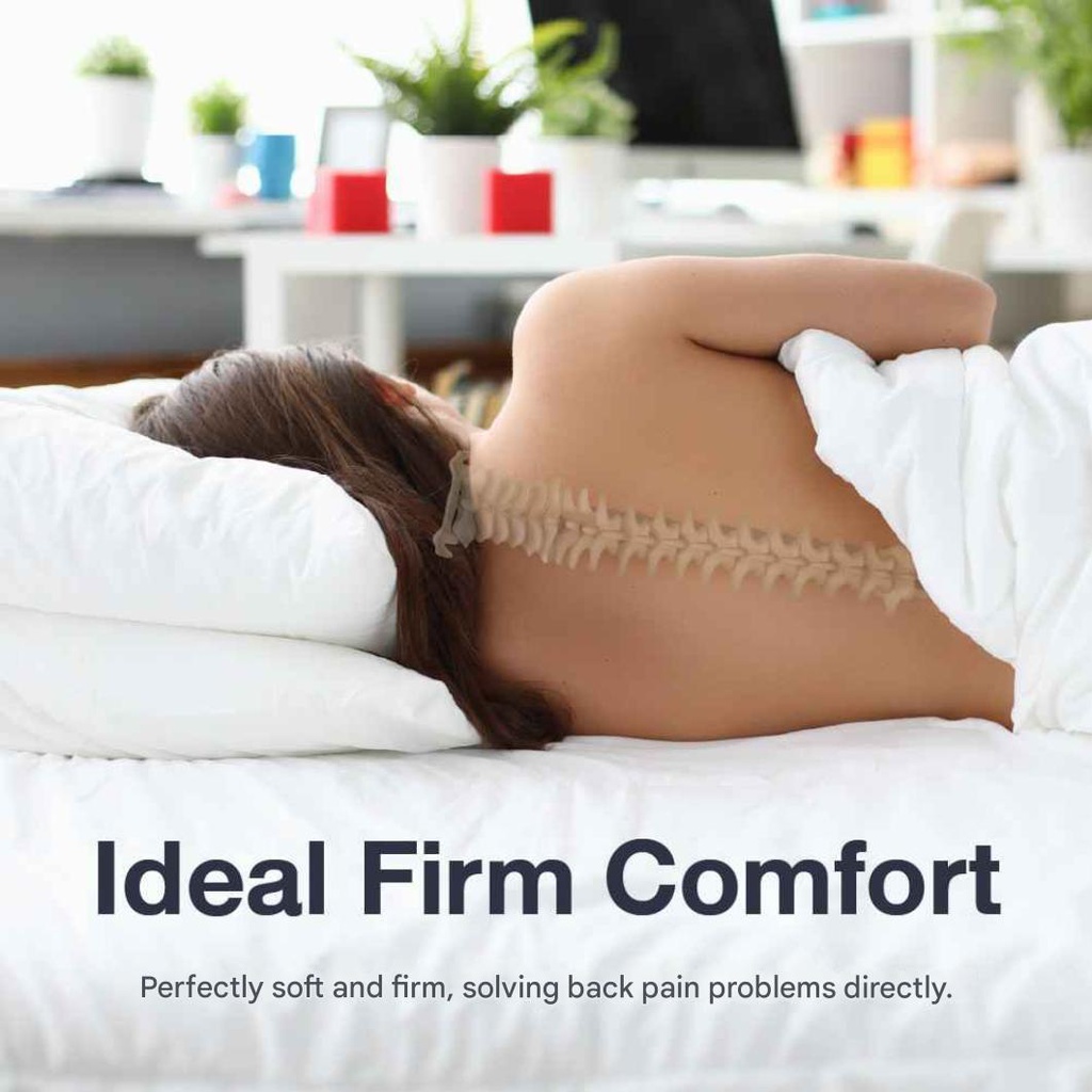 Lotus - Intel II - 5ft x 6.5ft - 8"