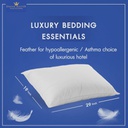 Dream Microfiber Pillow-1200g