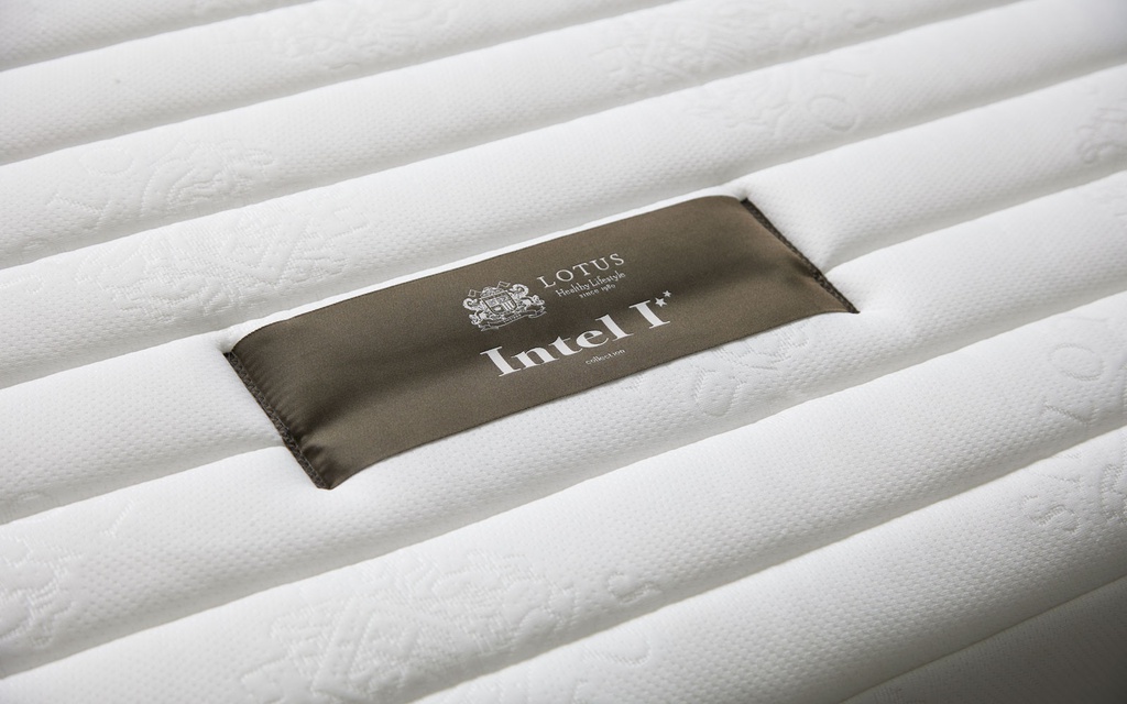 Lotus - Intel I - 5ft x 6.5ft - 8"