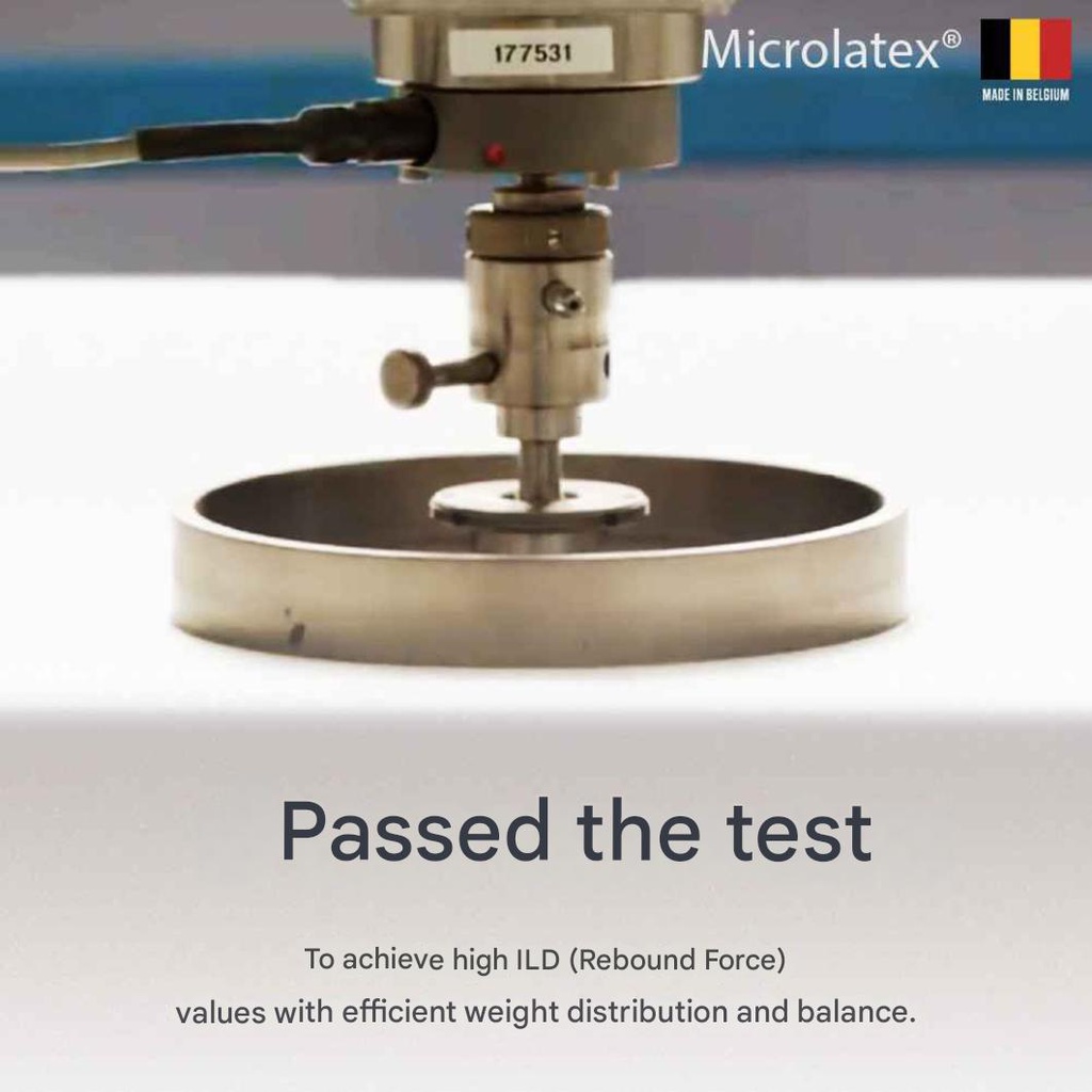 Lotus - Intel I - 5ft x 6.5ft - 8"