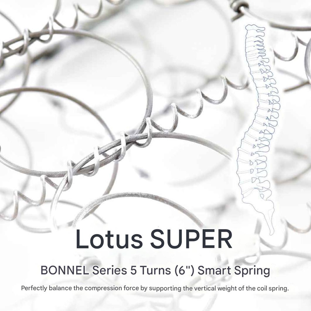 Lotus - Intel I - 5ft x 6.5ft - 8"