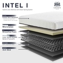 Lotus - Intel I - 5ft x 6.5ft - 8"