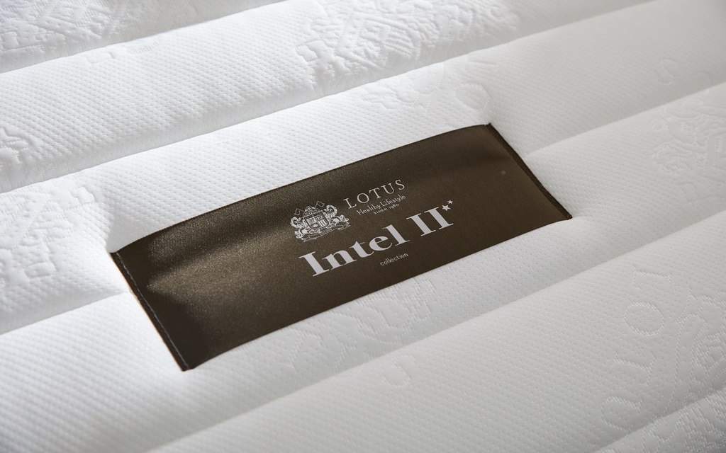 Lotus - Intel II - 5ft x 6.5ft - 8"