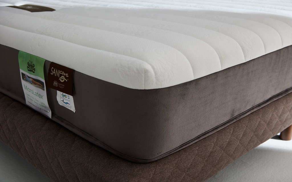 Lotus - Intel II - 5ft x 6.5ft - 8"