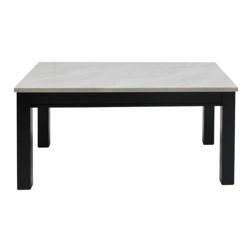 [19233742] Molina Coffee Table-C120-White Stone/Wenge